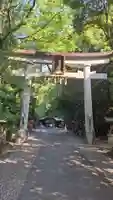 若宮八幡宮(高知県)