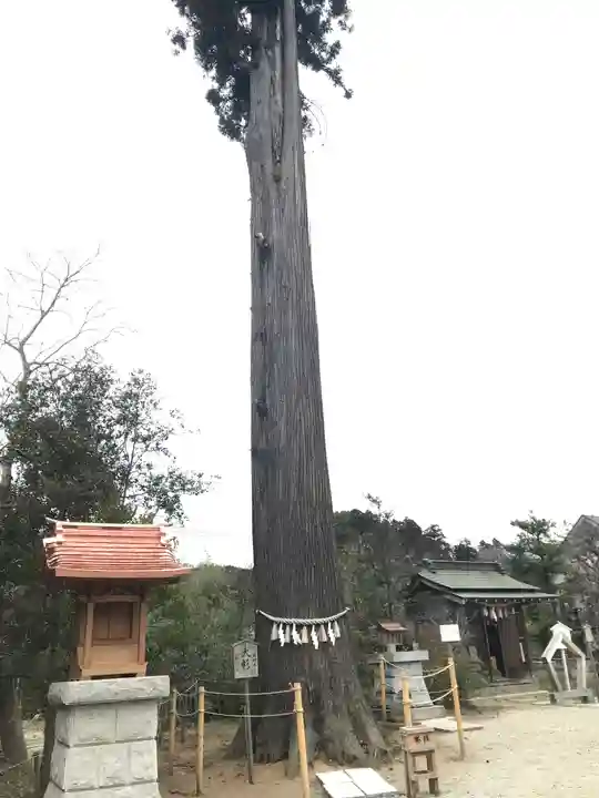 鶴峯八幡宮(千葉県)