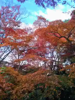 高幡不動尊　金剛寺(東京都)