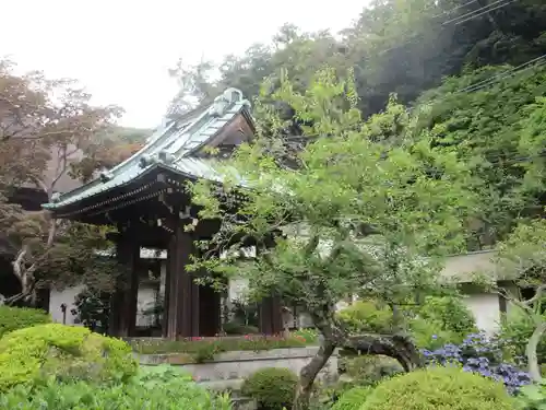 海蔵寺(神奈川県)