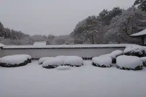 正伝護国禅寺(正伝寺･正傳寺)(京都府)