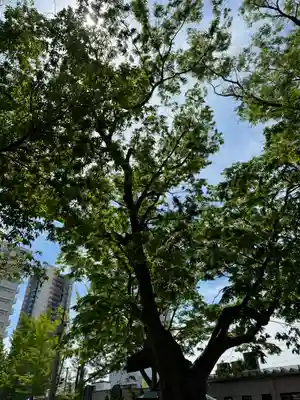阿邪訶根神社(福島県)