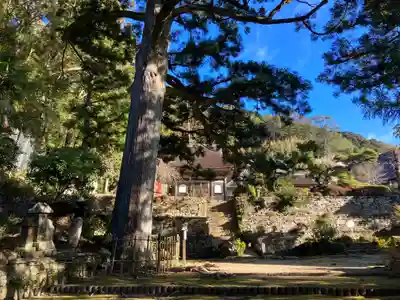 天恩寺(愛知県)