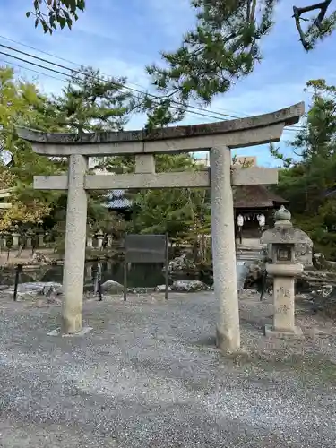 長浜八幡宮の鳥居