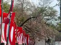 平野神社の{uncategorized: "未分類", other: "その他", undefined: "問題あり", building: "その他建物", grave: "お墓", sacred_gate: "鳥居", guardian: "狛犬", statue: "像", buddha: "仏像", history: "歴史", nature: "自然", garden: "庭園", animal: "動物", pagoda: "塔", temizu: "手水舎", mountain_gate: "山門・神門", sanctuary: "本殿・本堂", subordinate: "末社・摂社", art: "芸術", scenery: "景色", jizo: "地蔵", ema: "絵馬", goshuin: "御朱印", omikuji: "おみくじ", items: "授与品その他", amulet: "お守り", goshuincho: "御朱印帳", eats: "食事", festival: "お祭り", votive_dance: "神楽", shichigosan: "七五三参", wedding: "結婚式", experience: "体験その他", initially: "初詣", around: "周辺", anti_infection: "感染症対策"}