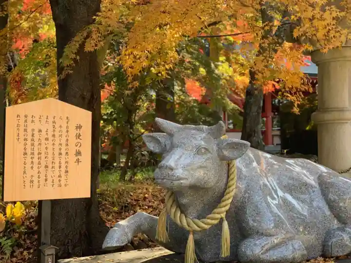 冨士御室浅間神社の狛犬