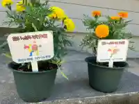 高彦根神社(新潟県)