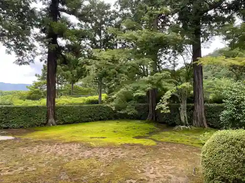 圓通寺(京都府)