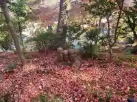 長谷寺の{uncategorized: "未分類", other: "その他", undefined: "問題あり", building: "その他建物", grave: "お墓", sacred_gate: "鳥居", guardian: "狛犬", statue: "像", buddha: "仏像", history: "歴史", nature: "自然", garden: "庭園", animal: "動物", pagoda: "塔", temizu: "手水舎", mountain_gate: "山門・神門", sanctuary: "本殿・本堂", subordinate: "末社・摂社", art: "芸術", scenery: "景色", jizo: "地蔵", ema: "絵馬", goshuin: "御朱印", omikuji: "おみくじ", items: "授与品その他", amulet: "お守り", goshuincho: "御朱印帳", eats: "食事", festival: "お祭り", votive_dance: "神楽", shichigosan: "七五三参", wedding: "結婚式", experience: "体験その他", initially: "初詣", around: "周辺", anti_infection: "感染症対策"}