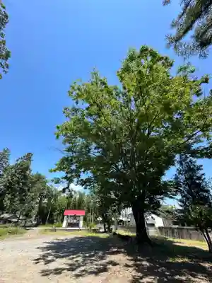 日吉神社(山梨県)