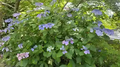 出雲大神宮(京都府)