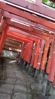 賀茂波爾神社（賀茂御祖神社境外摂社）(京都府)
