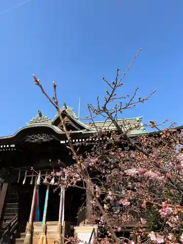 桜神宮の本殿・本堂