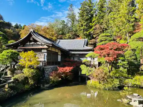 宝登山神社(埼玉県)