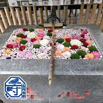 高円寺氷川神社(東京都)