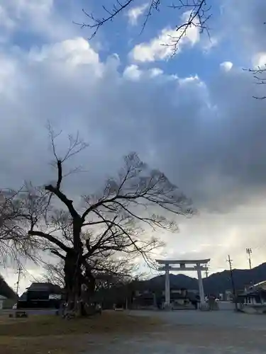 新宮八幡神社の鳥居