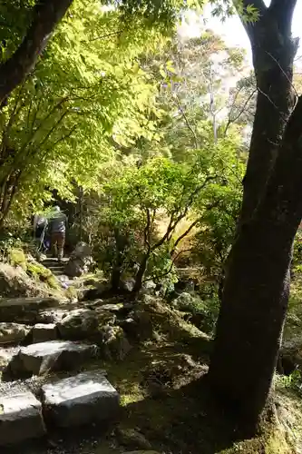 宝泉院(京都府)