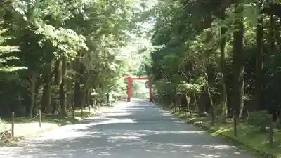 霧島神宮(鹿児島県)