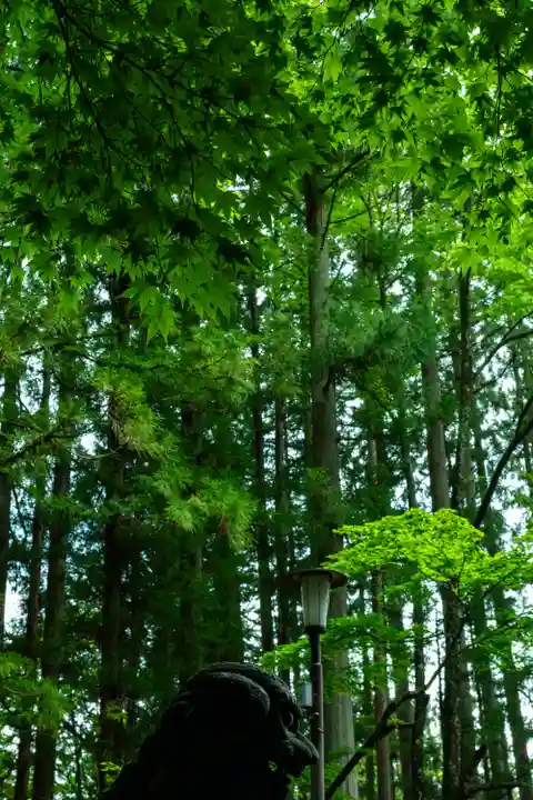 戸隠神社宝光社(長野県)