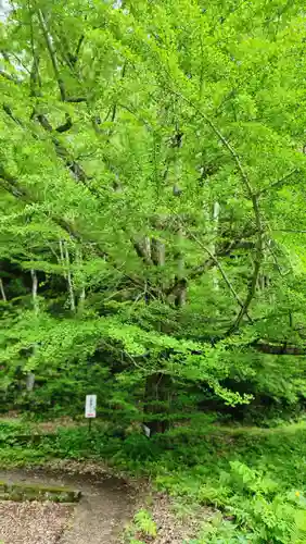 観音寺(福島県)