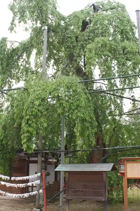 齋神社(滋賀県)