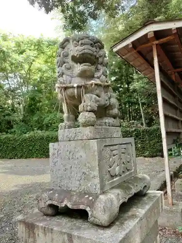 上座神社の狛犬