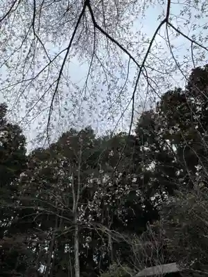 大宮温泉神社(栃木県)