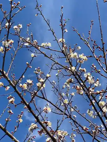 鹿嶋神社の自然