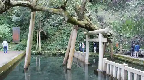 鹿島神宮(茨城県)