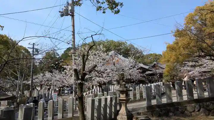 向日神社(京都府)