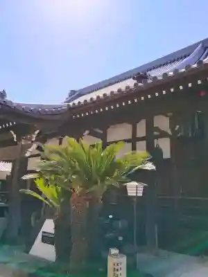 因念寺の{uncategorized: "未分類", other: "その他", undefined: "問題あり", building: "その他建物", grave: "お墓", sacred_gate: "鳥居", guardian: "狛犬", statue: "像", buddha: "仏像", history: "歴史", nature: "自然", garden: "庭園", animal: "動物", pagoda: "塔", temizu: "手水舎", mountain_gate: "山門・神門", sanctuary: "本殿・本堂", subordinate: "末社・摂社", art: "芸術", scenery: "景色", jizo: "地蔵", ema: "絵馬", goshuin: "御朱印", omikuji: "おみくじ", items: "授与品その他", amulet: "お守り", goshuincho: "御朱印帳", eats: "食事", festival: "お祭り", votive_dance: "神楽", shichigosan: "七五三参", wedding: "結婚式", experience: "体験その他", initially: "初詣", around: "周辺", anti_infection: "感染症対策"}