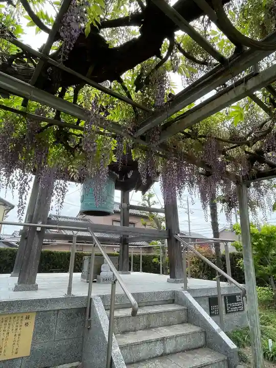 宝珠寺(静岡県)