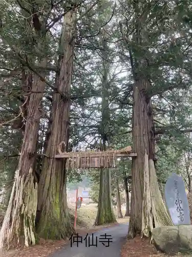 仲仙寺(長野県)