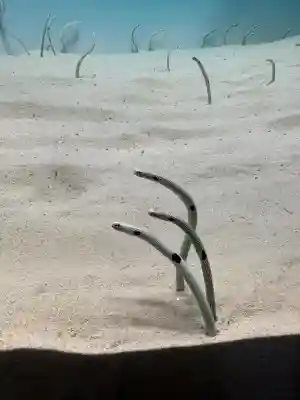 大洗磯前神社(茨城県)