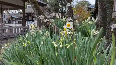 平野神社(京都府)