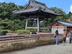 勝尾寺(大阪府)