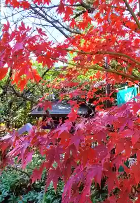 阿佐ヶ谷神明宮(東京都)