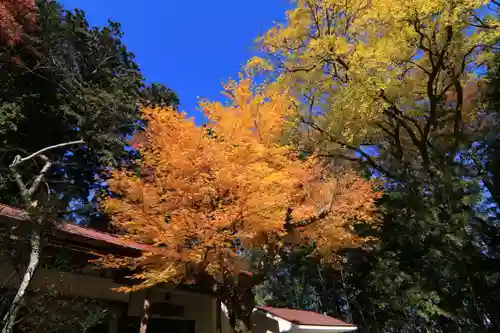 田村神社の庭園