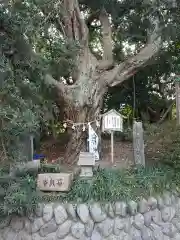 白羽神社の自然