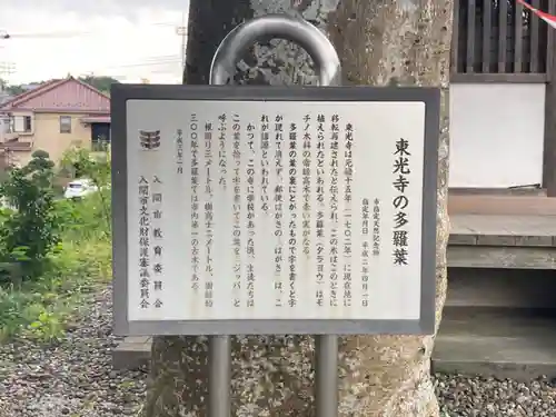 東光寺の歴史