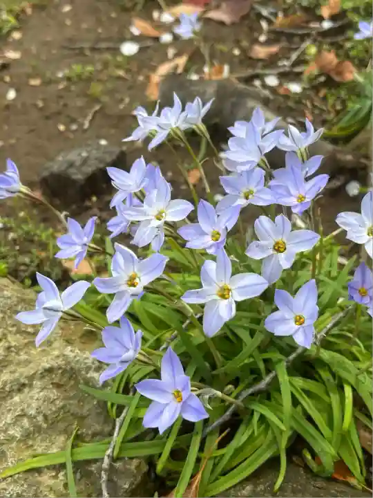 潮田神社(神奈川県)