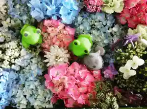 立志神社(滋賀県)(2022年06月08日(水) 08時52分22秒投稿)