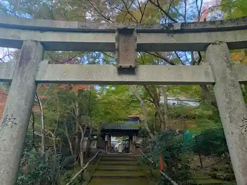 山科聖天 雙林院（双林院）　の鳥居