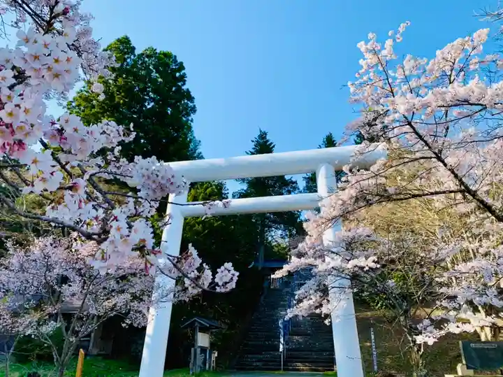 土津神社|こどもと出世の神さまの鳥居