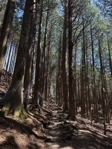 三峯神社奥宮の{uncategorized: "未分類", other: "その他", undefined: "問題あり", building: "その他建物", grave: "お墓", sacred_gate: "鳥居", guardian: "狛犬", statue: "像", buddha: "仏像", history: "歴史", nature: "自然", garden: "庭園", animal: "動物", pagoda: "塔", temizu: "手水舎", mountain_gate: "山門・神門", sanctuary: "本殿・本堂", subordinate: "末社・摂社", art: "芸術", scenery: "景色", jizo: "地蔵", ema: "絵馬", goshuin: "御朱印", omikuji: "おみくじ", items: "授与品その他", amulet: "お守り", goshuincho: "御朱印帳", eats: "食事", festival: "お祭り", votive_dance: "神楽", shichigosan: "七五三参", wedding: "結婚式", experience: "体験その他", initially: "初詣", around: "周辺", anti_infection: "感染症対策"}