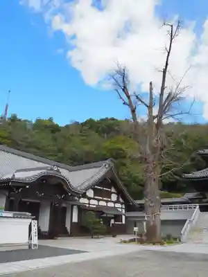最上稲荷山妙教寺のその他建物