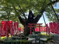 秩父今宮神社の{uncategorized: "未分類", other: "その他", undefined: "問題あり", building: "その他建物", grave: "お墓", sacred_gate: "鳥居", guardian: "狛犬", statue: "像", buddha: "仏像", history: "歴史", nature: "自然", garden: "庭園", animal: "動物", pagoda: "塔", temizu: "手水舎", mountain_gate: "山門・神門", sanctuary: "本殿・本堂", subordinate: "末社・摂社", art: "芸術", scenery: "景色", jizo: "地蔵", ema: "絵馬", goshuin: "御朱印", omikuji: "おみくじ", items: "授与品その他", amulet: "お守り", goshuincho: "御朱印帳", eats: "食事", festival: "お祭り", votive_dance: "神楽", shichigosan: "七五三参", wedding: "結婚式", experience: "体験その他", initially: "初詣", around: "周辺", anti_infection: "感染症対策"}