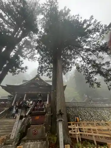 三峯神社(埼玉県)