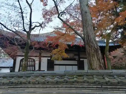 永保寺のその他建物
