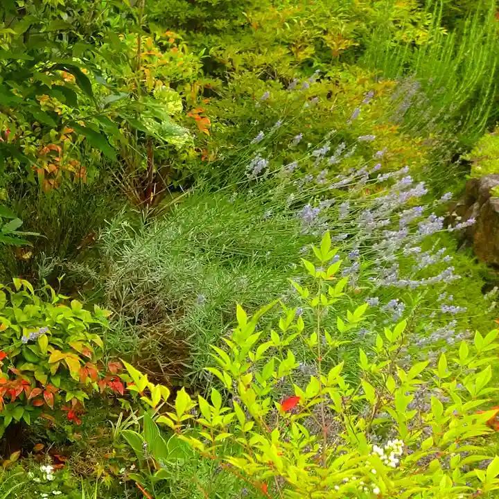寿量山 速成寺の自然